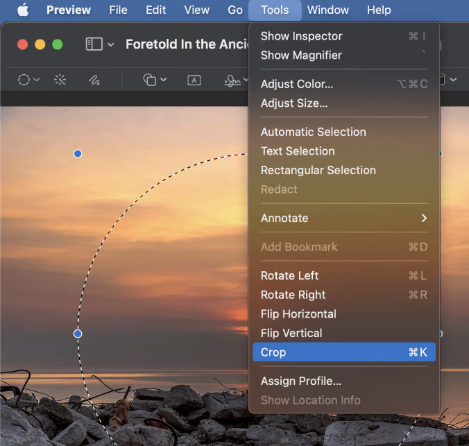 click "Crop" to finalize the changes