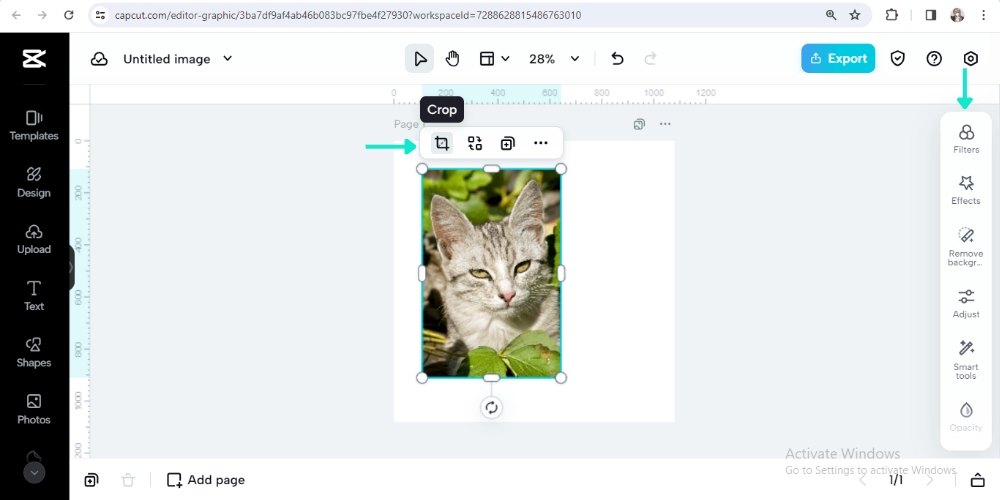 crop and edit an image