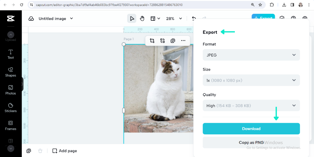 choose your file format and export