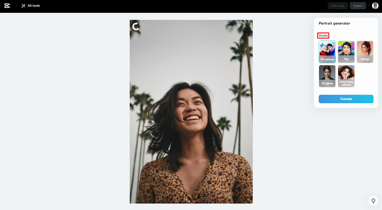 Choose the image style