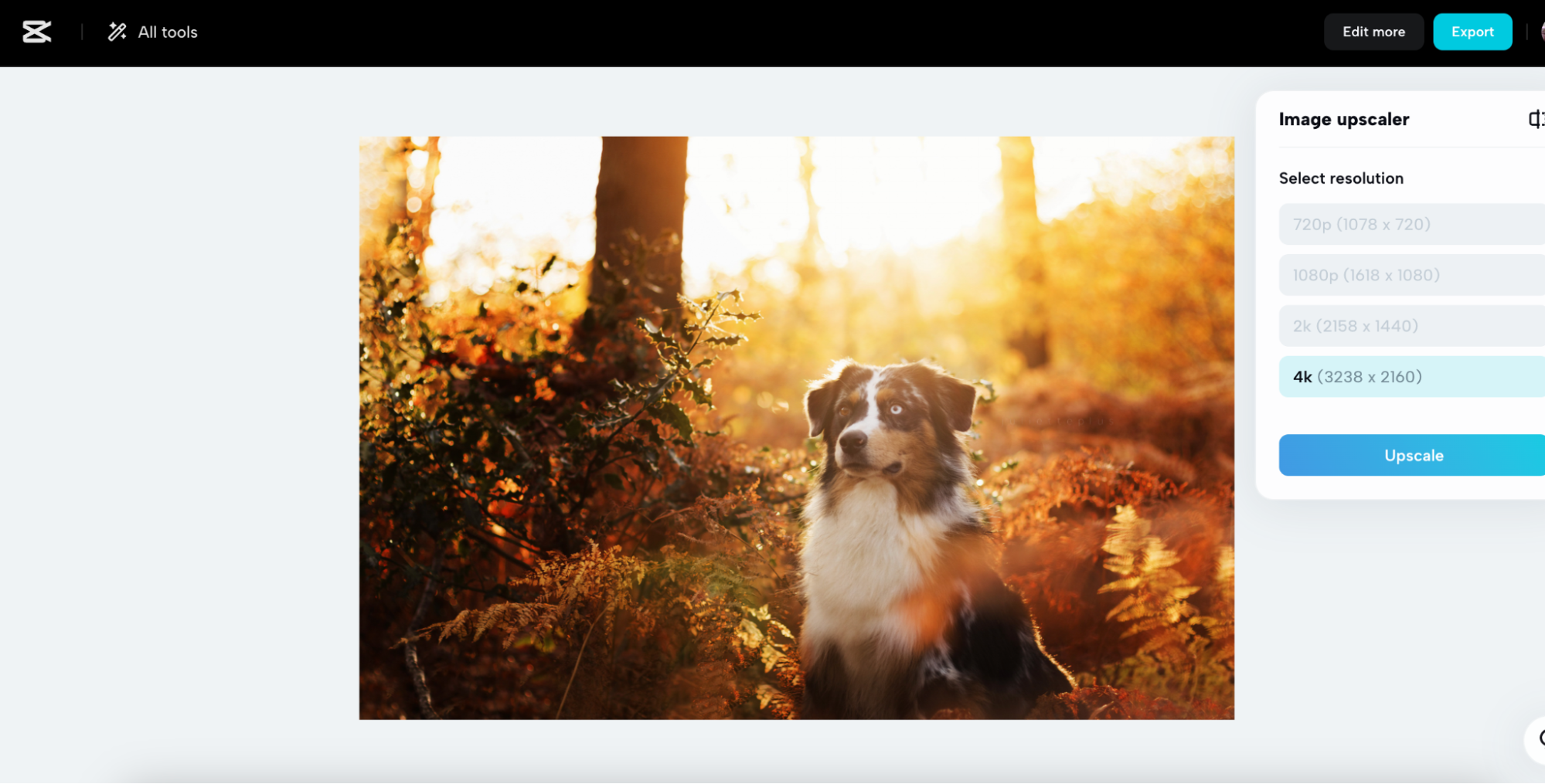 Choose your upscaling resolution