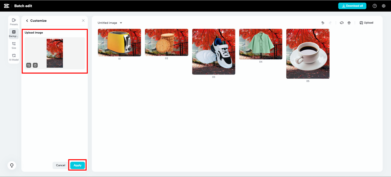 apply custom photos in background