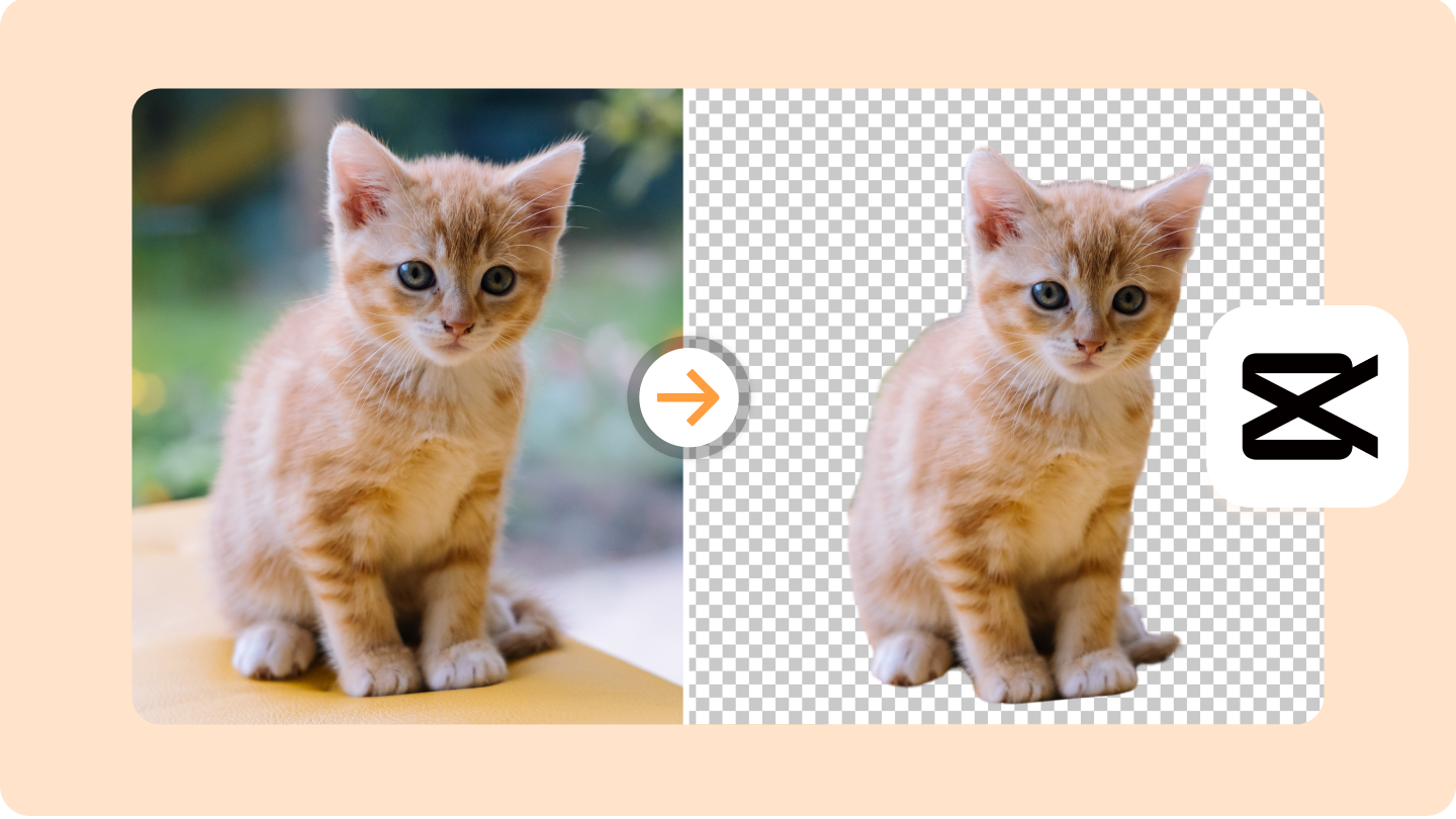 Відокремити зображення від тла