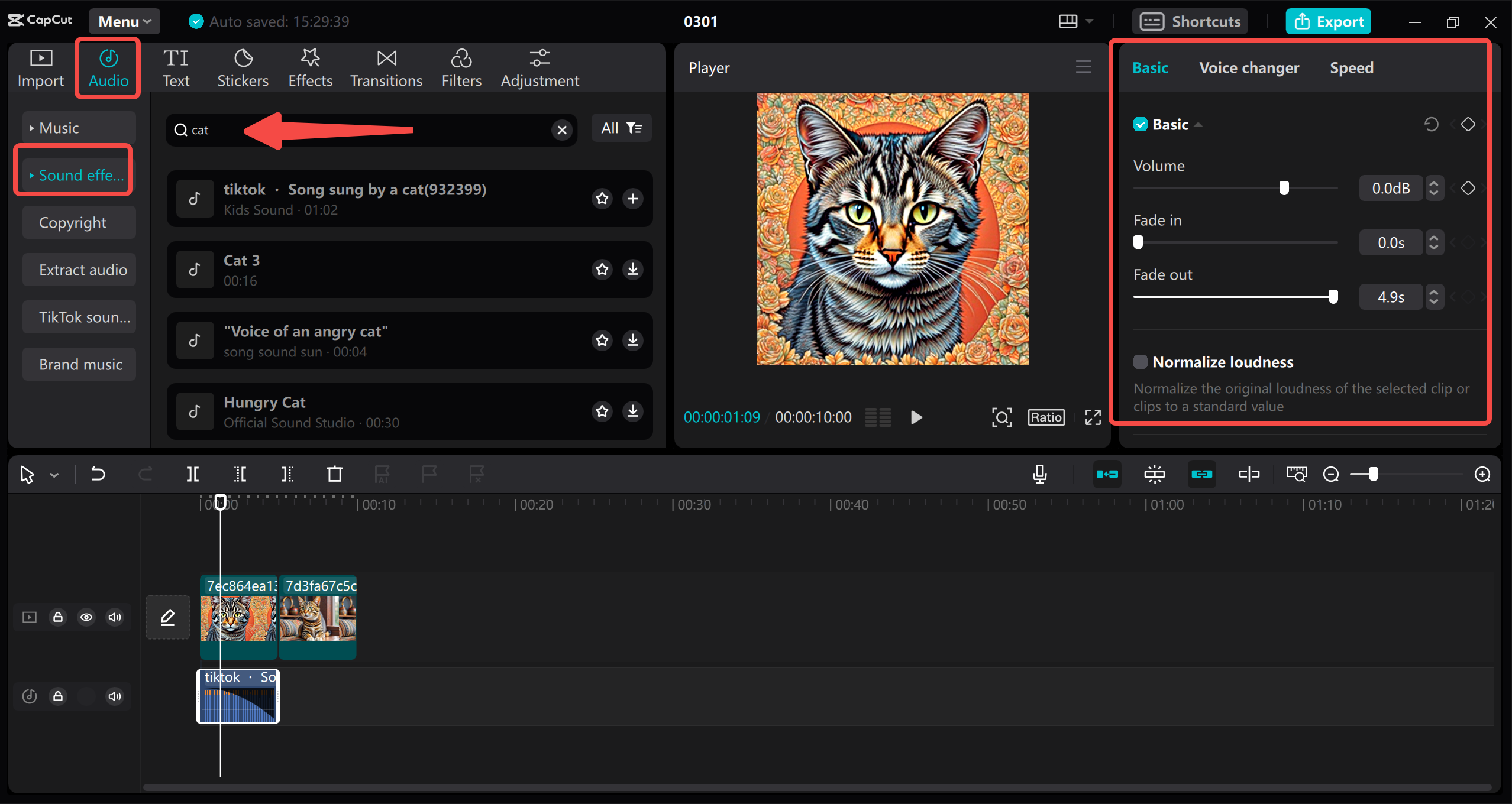 Edit the video and add cat sounds