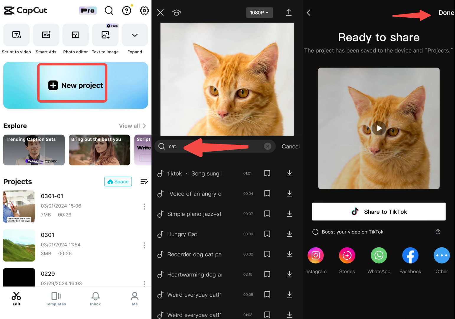 How to add cat sound MP3 in videos on mobile phone