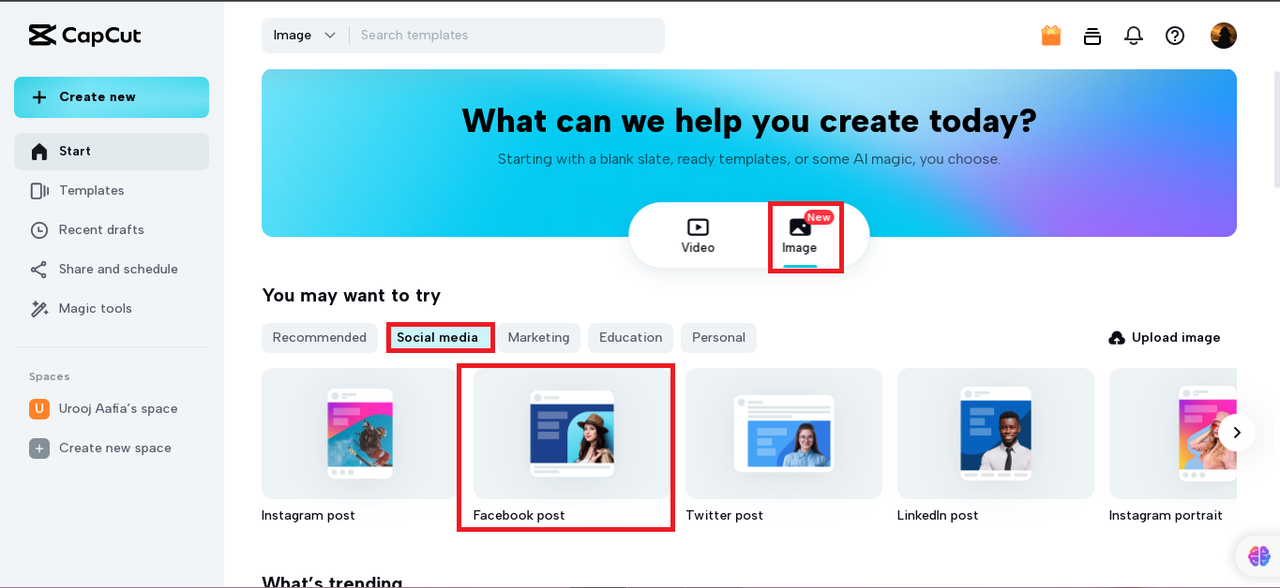create a new blank canvas