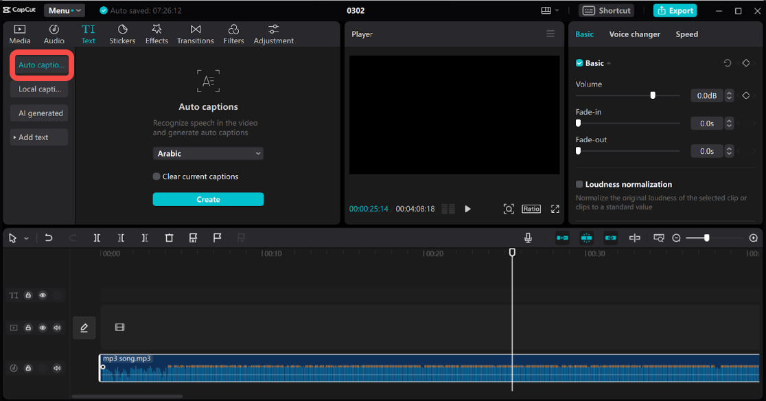 Translate the MP3 audio to text