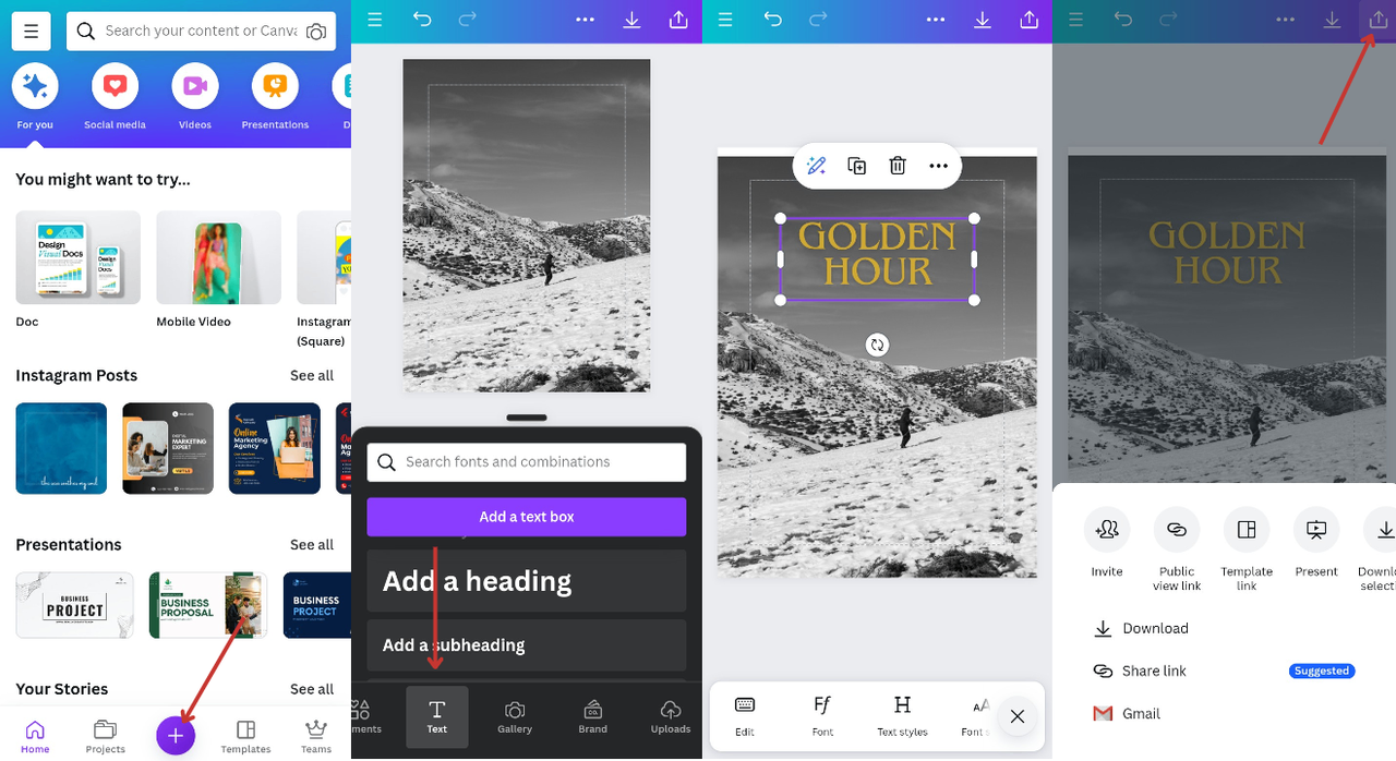 utilize canva to add text and graphics 