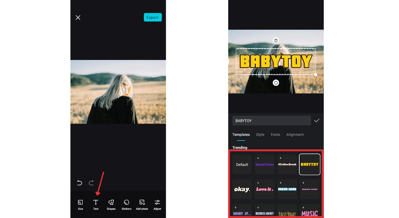 text and sticker addition
