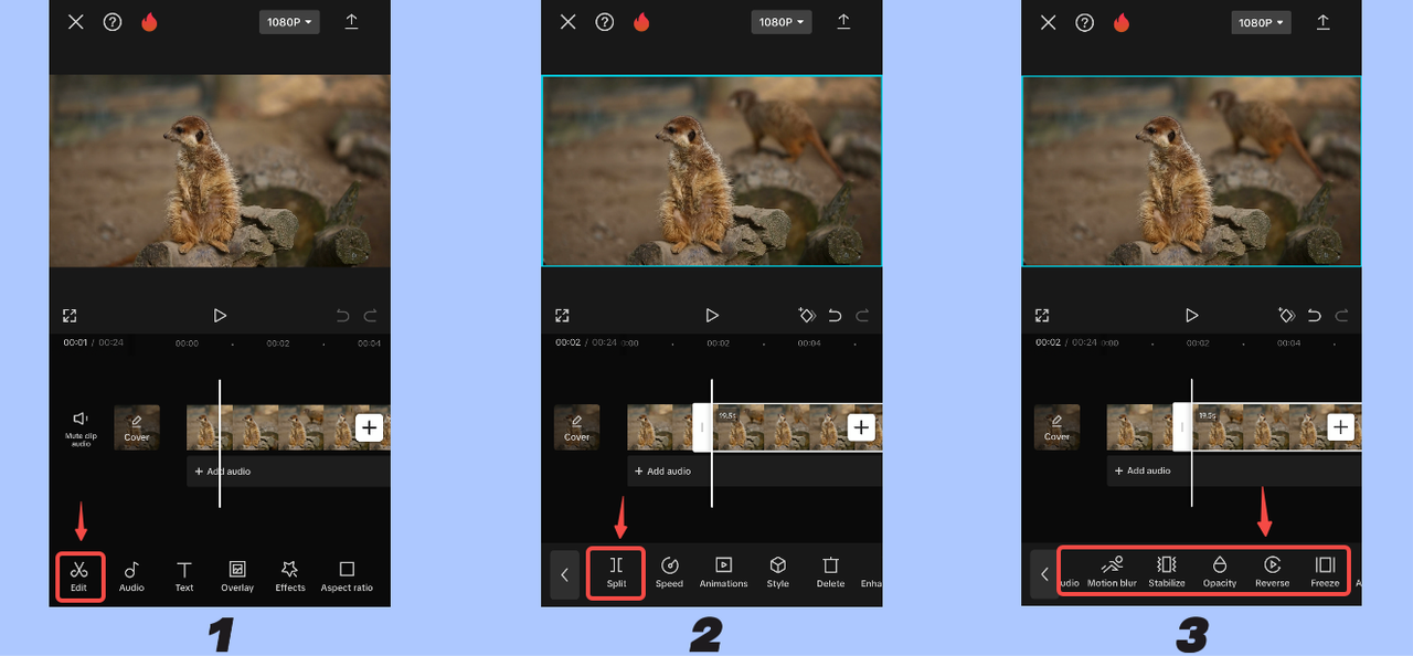 Edit the video with basic features