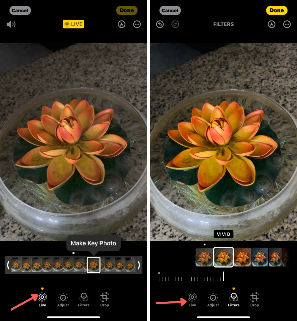 edit live photos on iphone