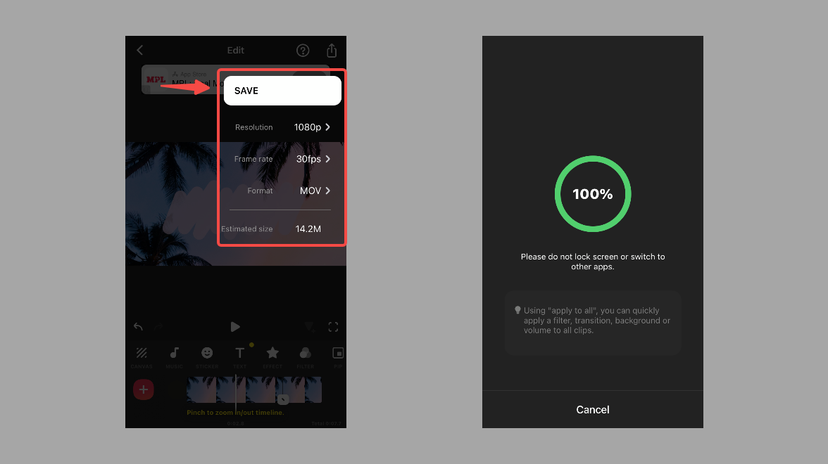 Select the format and export the video