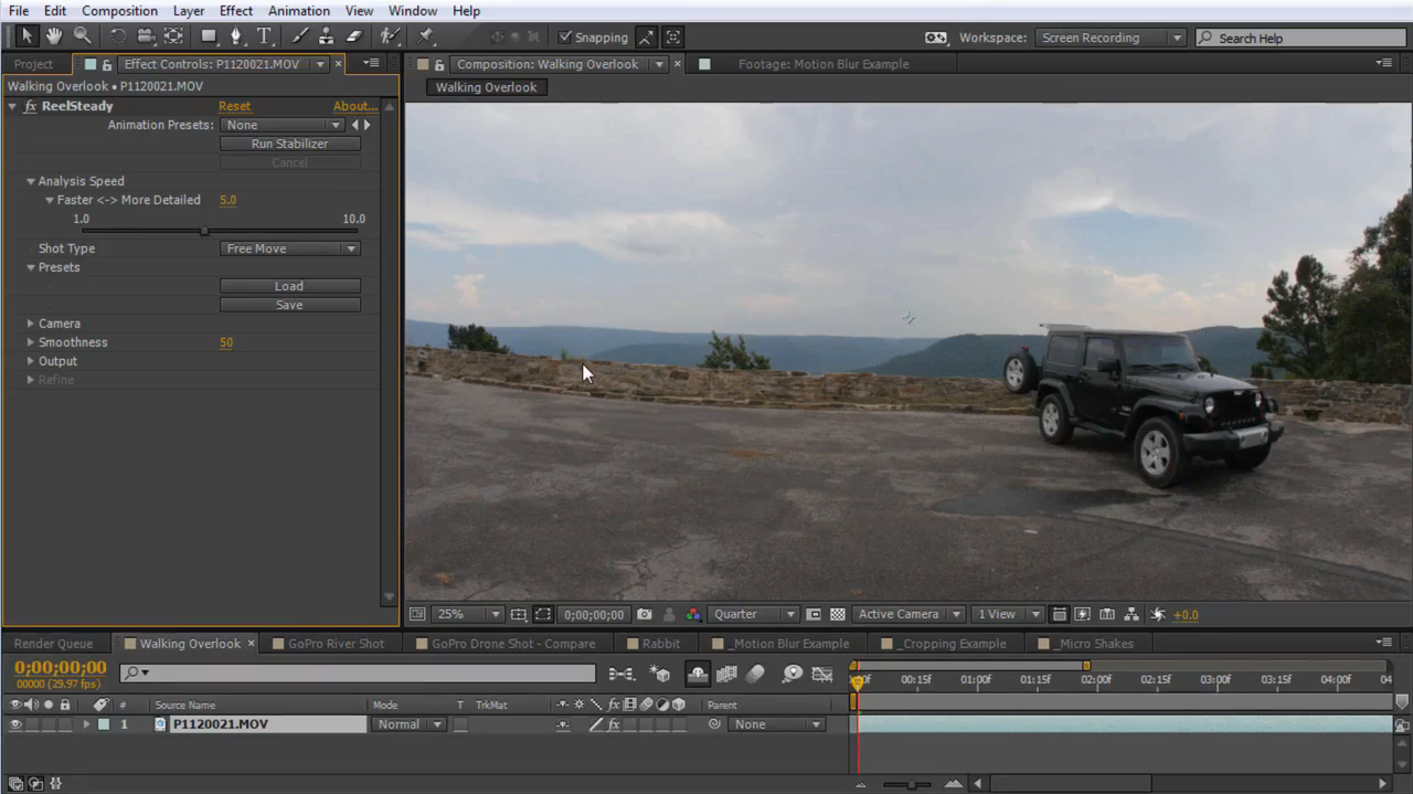 stabilise footage After Effects with ReelSteady Plugin