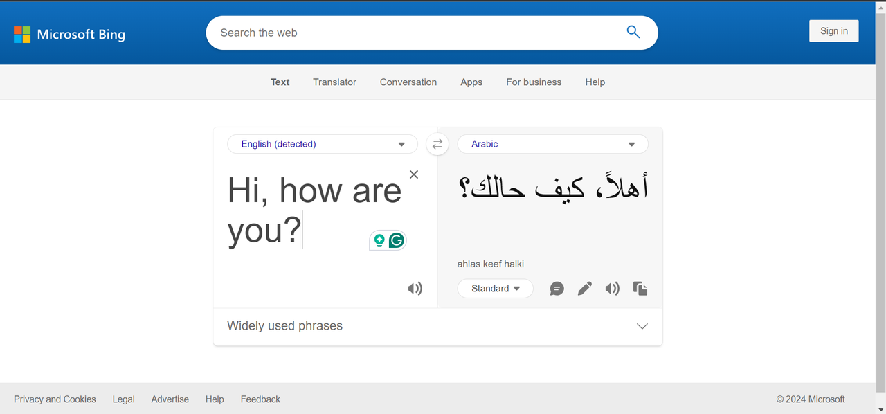 Microsoft translator interface
