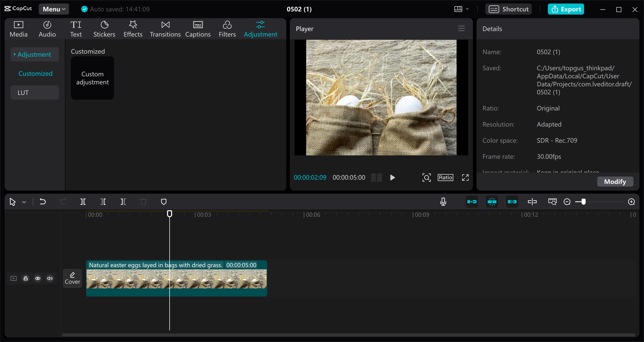 CapCut video editor