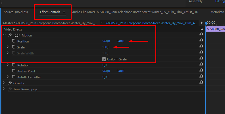 Use the "Motion" effect for video resizing