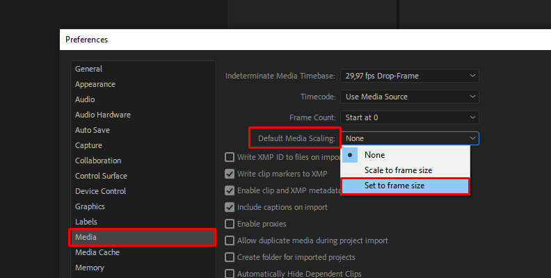 Set a default media scale for future videos