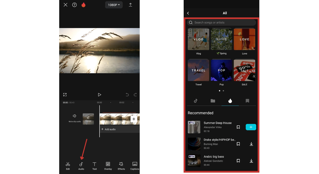 expansive library of music and sound effects