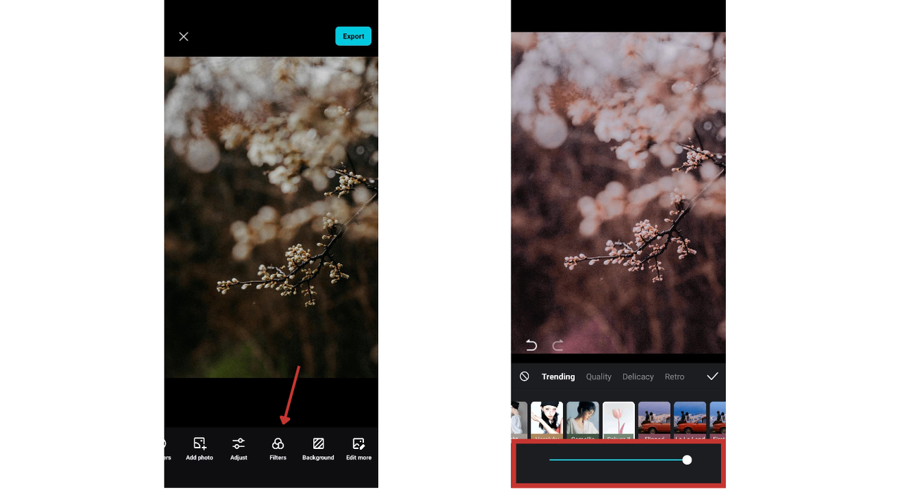 customizable filters