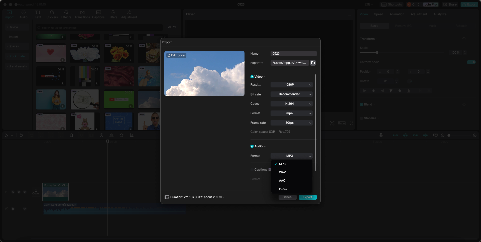 CapCut video editor