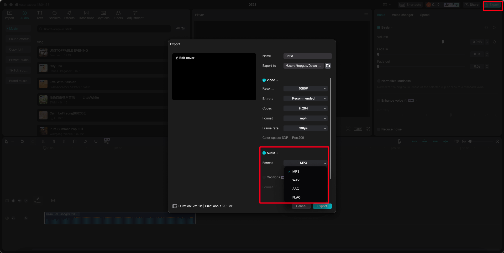convert WMV to MP3 in CapCut