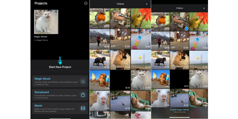 create a new project and choose a video
