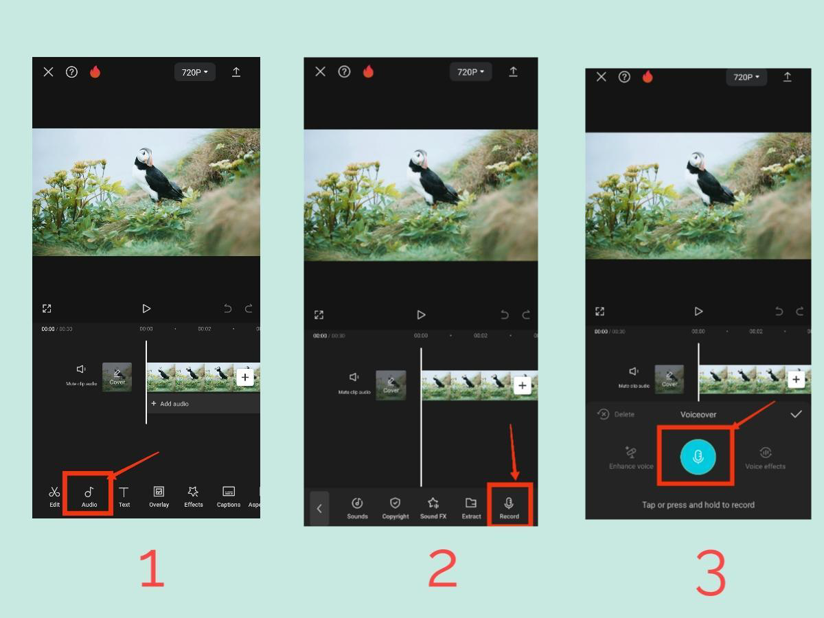 CapCut Speech-to-Text