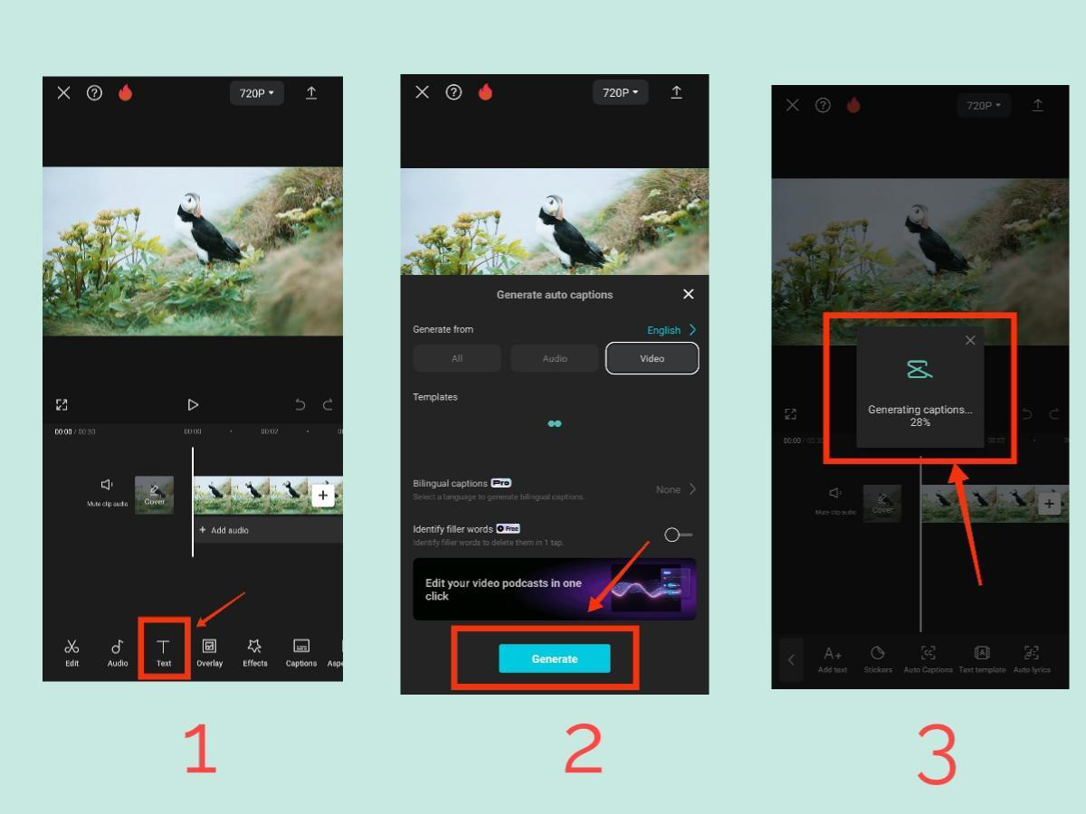 CapCut Auto Captions