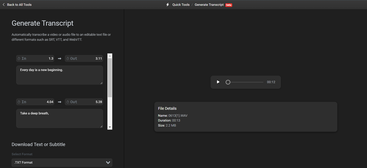 Flixier interface showing conversion of WAV to text