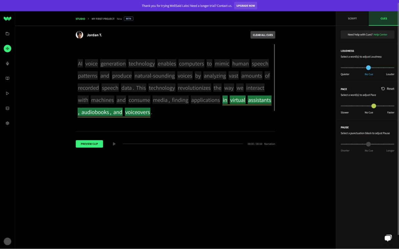 Generating AI voice using WellSaid Labs - a reliable online voice generator