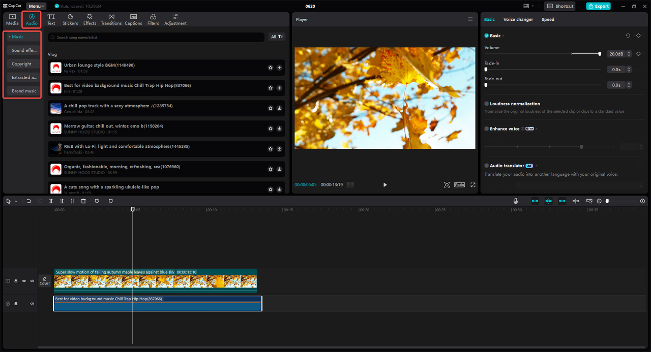 Sound effects and music