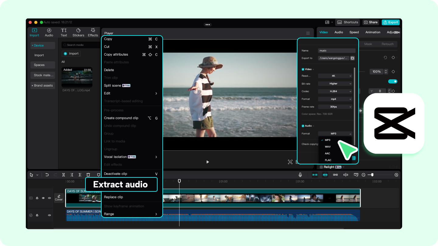 extract audio from video