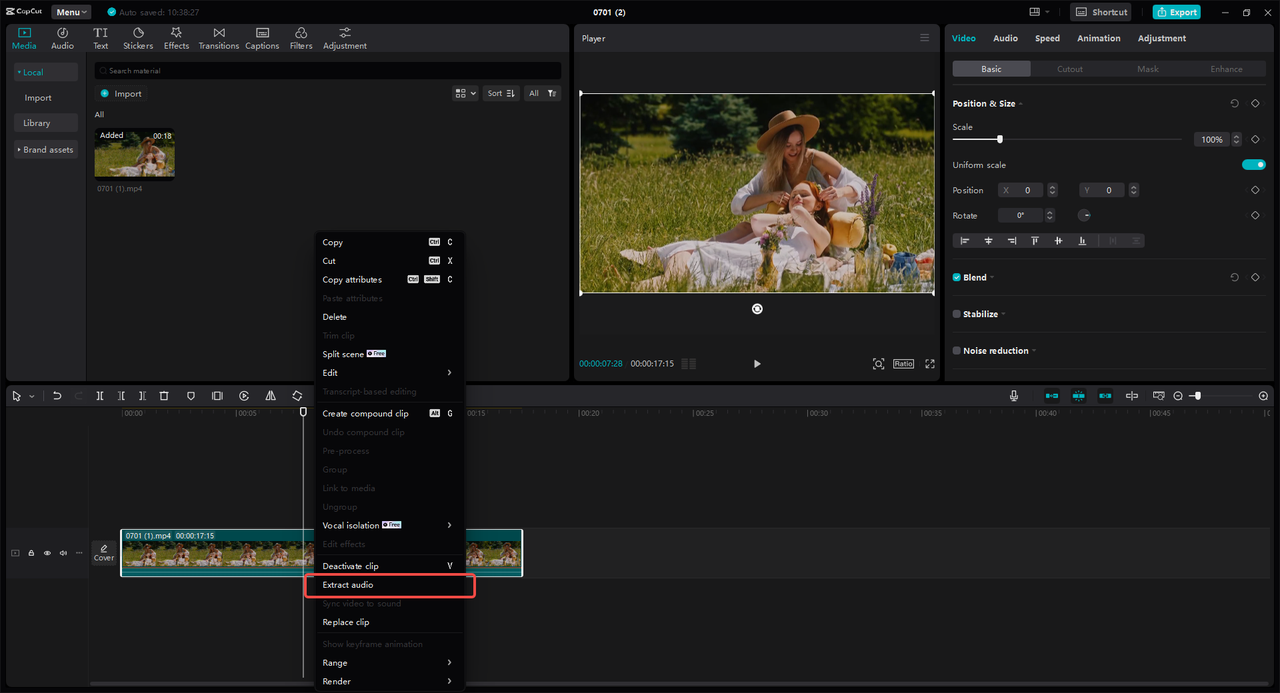 Extract the audio from MP4