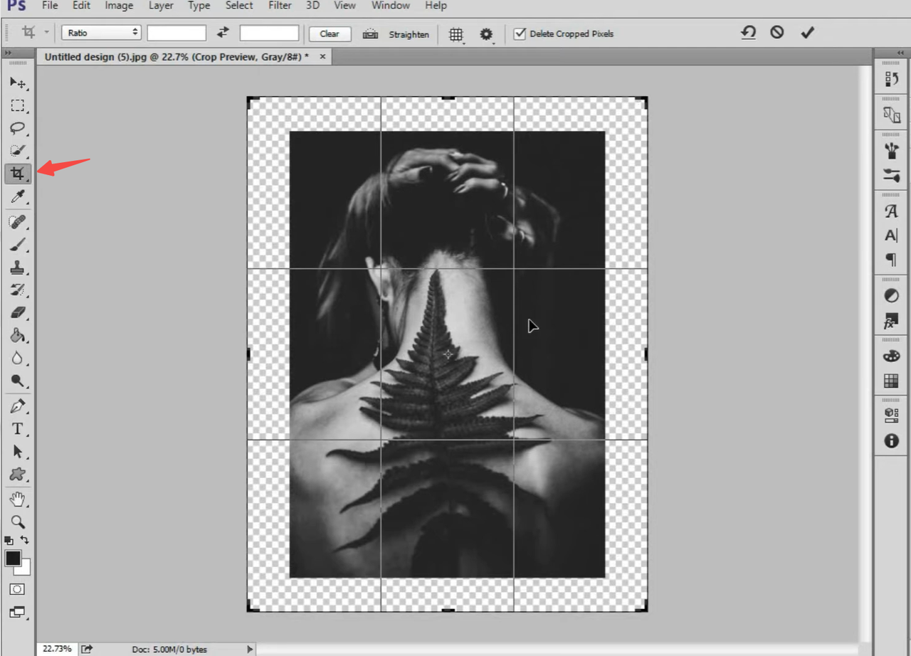 Interface showing the use of the Crop Tool to expand background in Photoshop