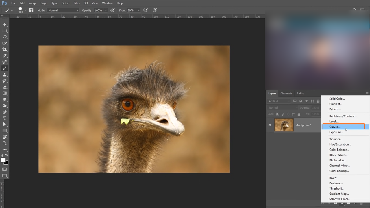 Adding Curves adjustment layer on the photo in Photoshop
