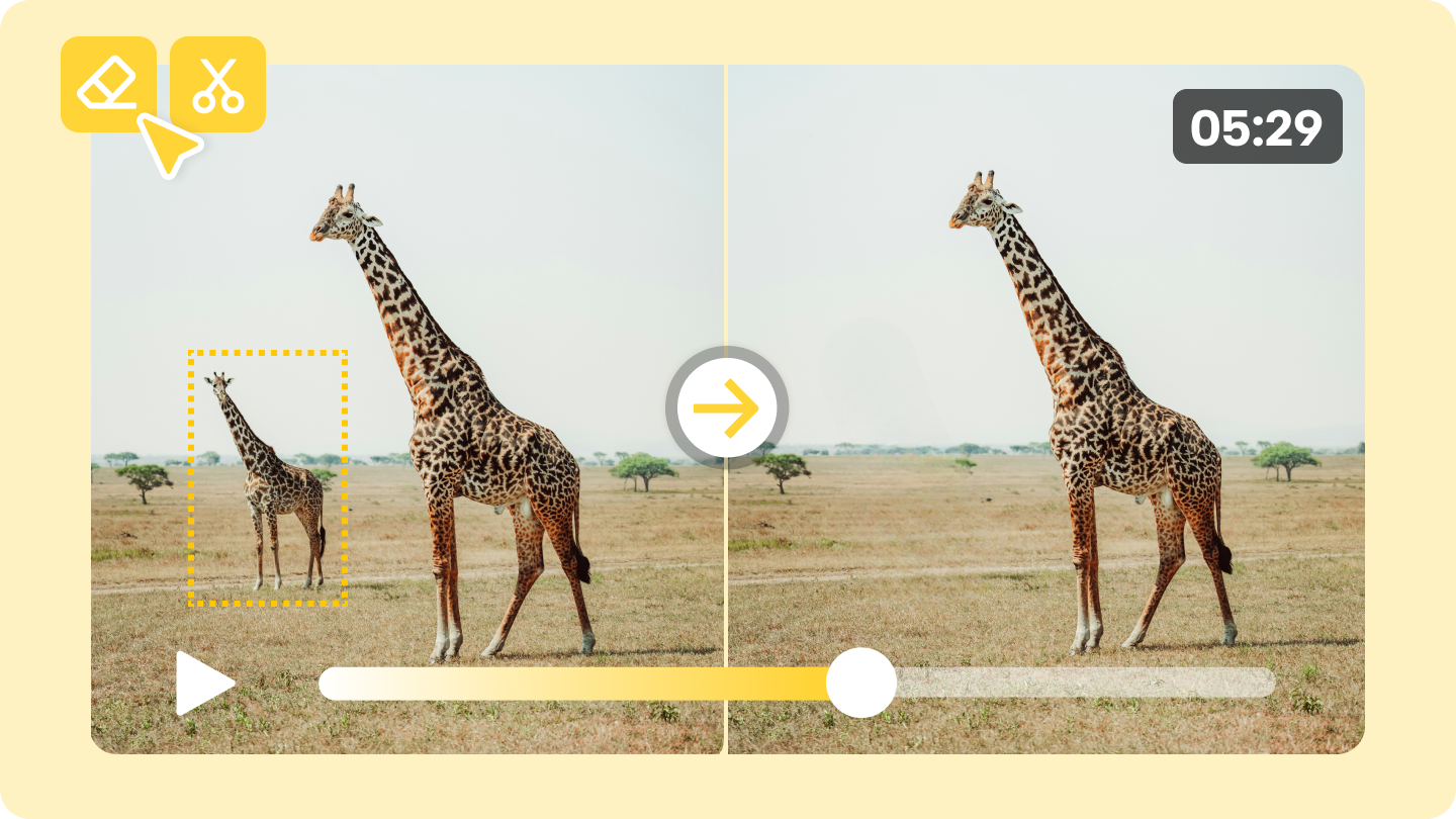 Supprimer un objet de la vidéo 