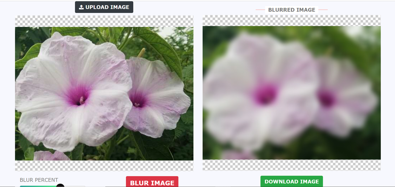 Interface of ImageOnline.co - a user-friendly tool to blur images online