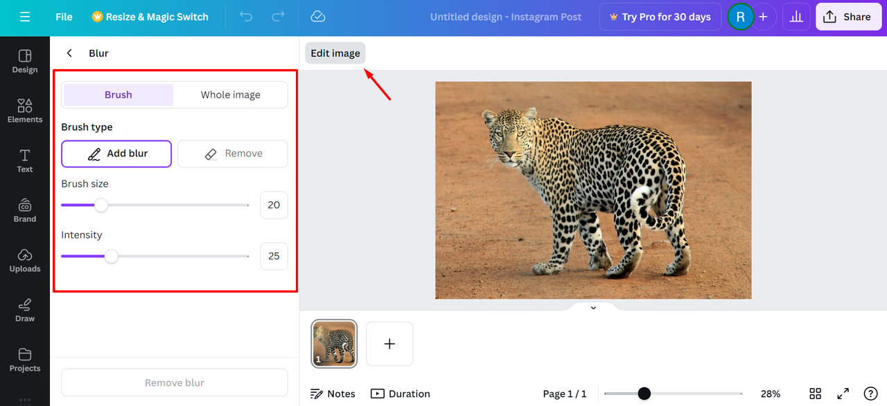 Interface of Canva - a professional tool to blur part of the image online