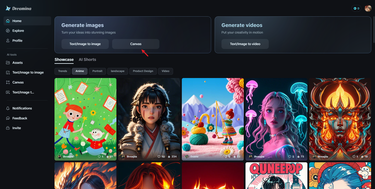 Click Canvas on the homepage