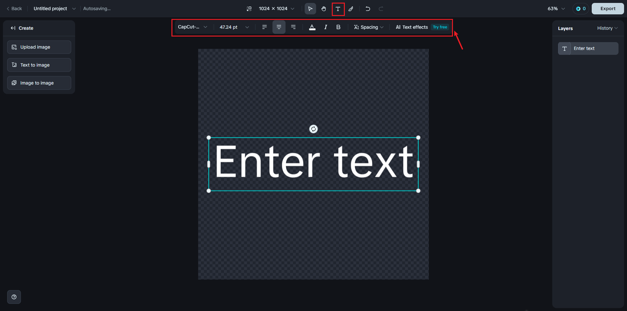 Enter text on Canvas