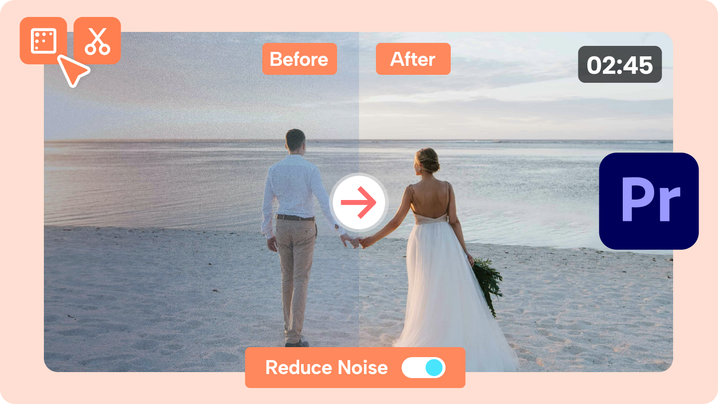 denoiser prömiyeri pro