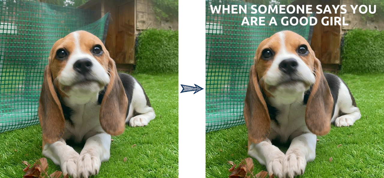 Utilize Dreamina's text overlay tools