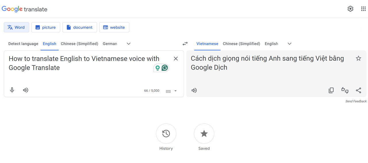 Interface of Google Translate showing how to get English to Vietnamese translation