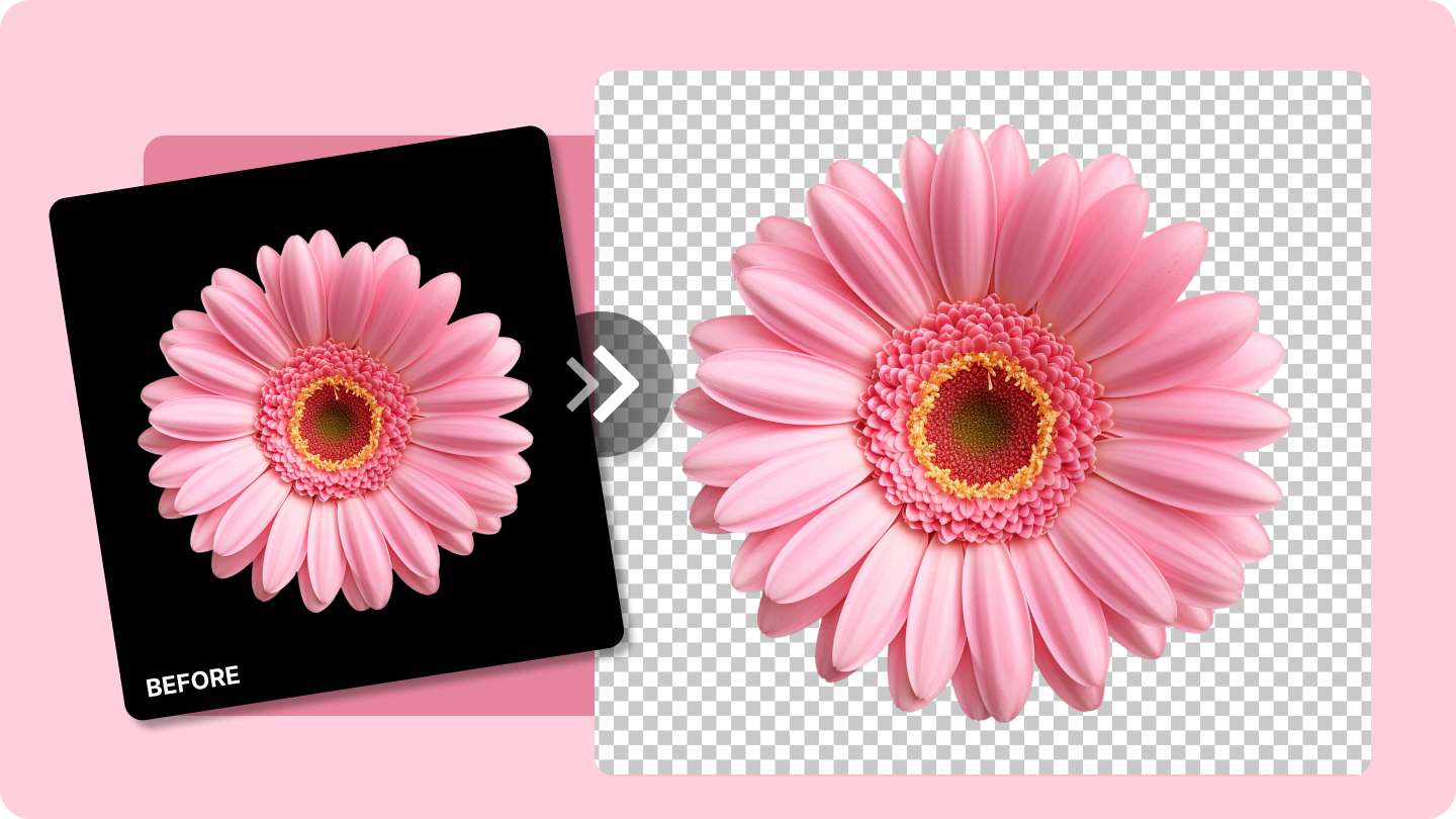 eliminați fundalul negru