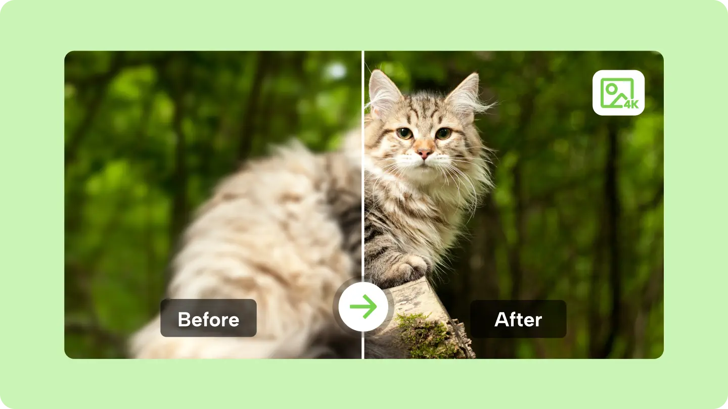 1732016001363,1698978900935