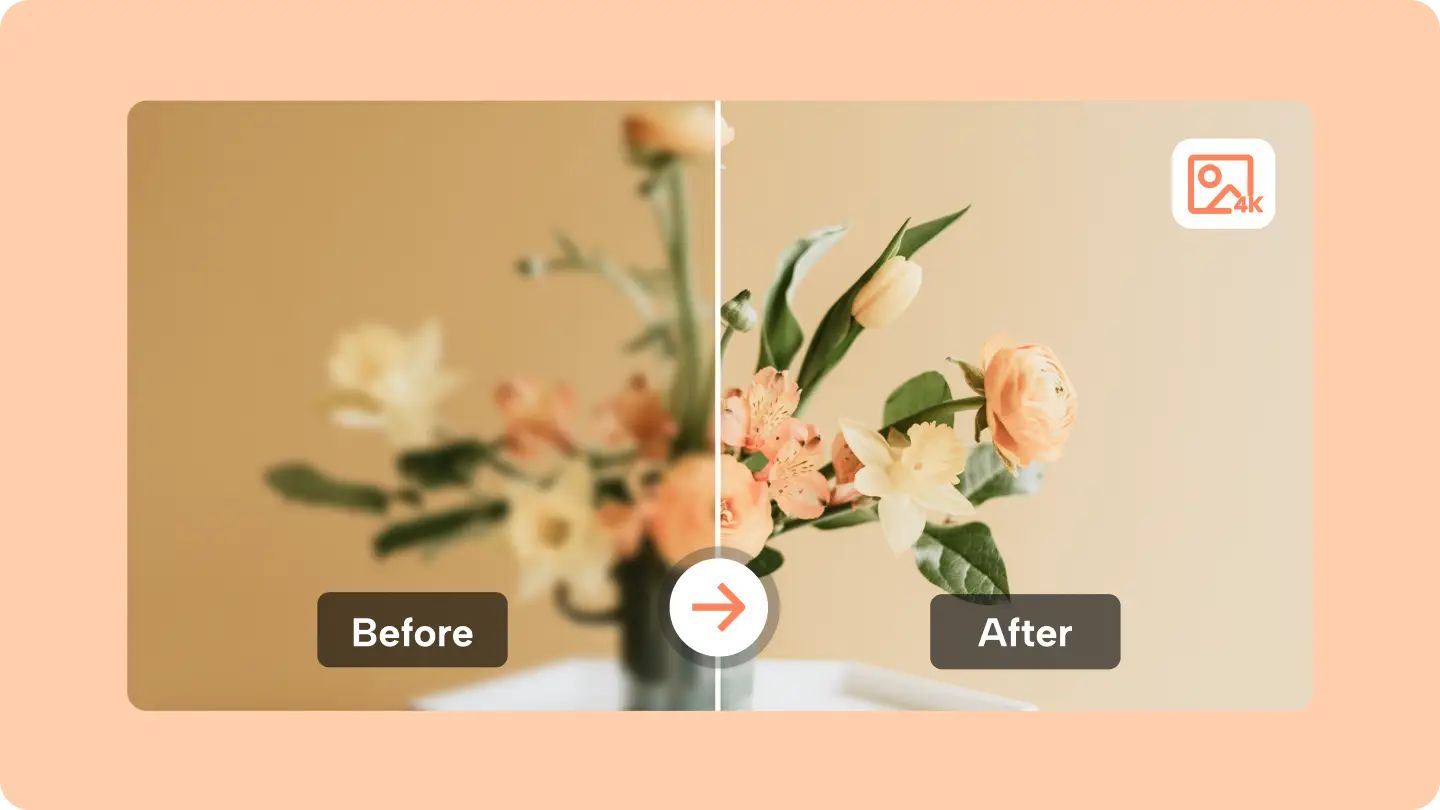 1732687580310,1698992420853