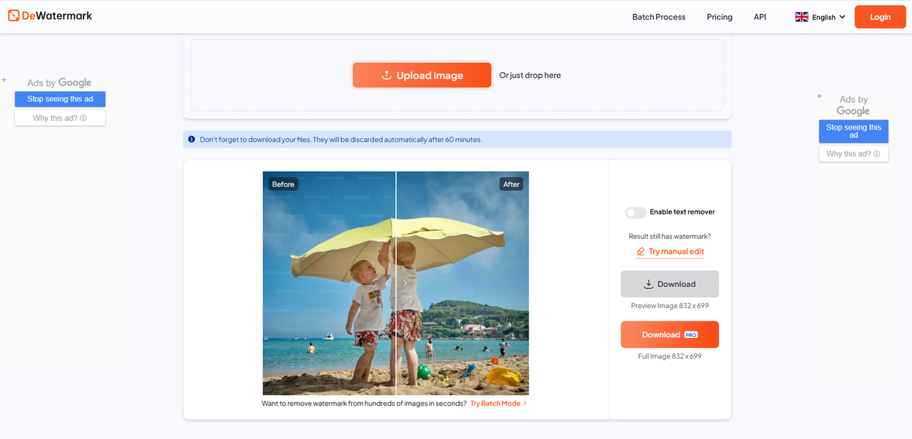 DeWatermark's editing interface