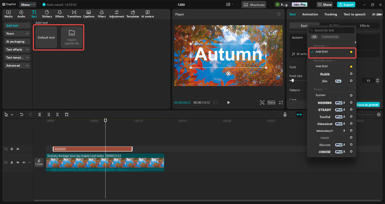 Apply the Arial Bold  font