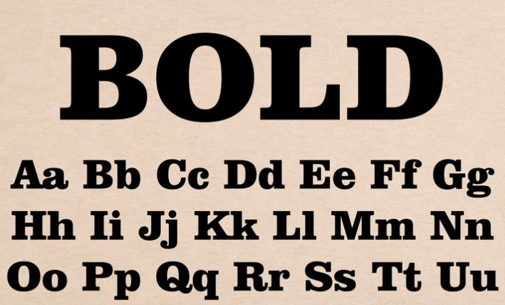 Serif Bold Fonts