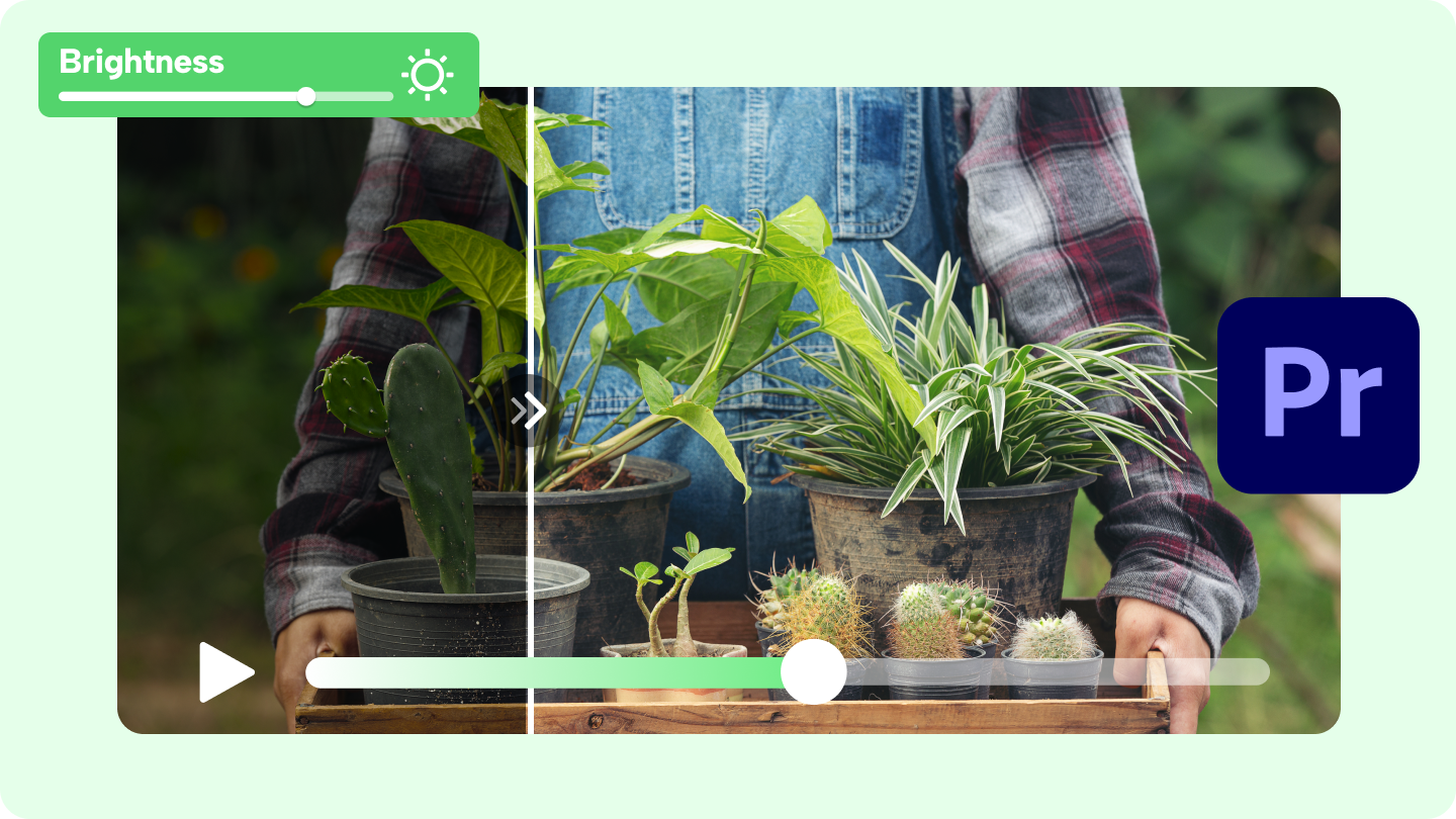 cách làm sáng video trong Premiere Pro